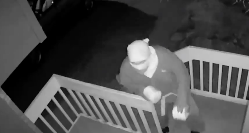 Toilet paper ninja