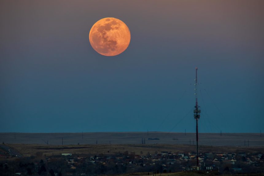 Bruce Hausknecht pink moon
