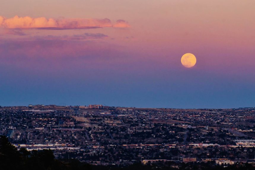 Landon Harris pink moon