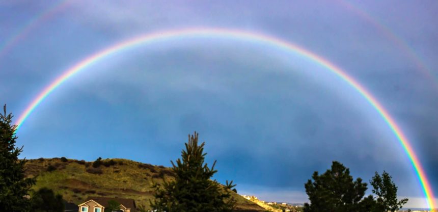 Landon Harris rainbow