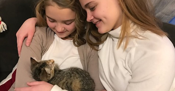 Blind adopted kitten Brittany Falkers KGW