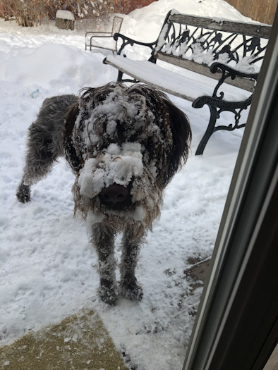 Chuck loves snow Bend Kathy Wall 1201