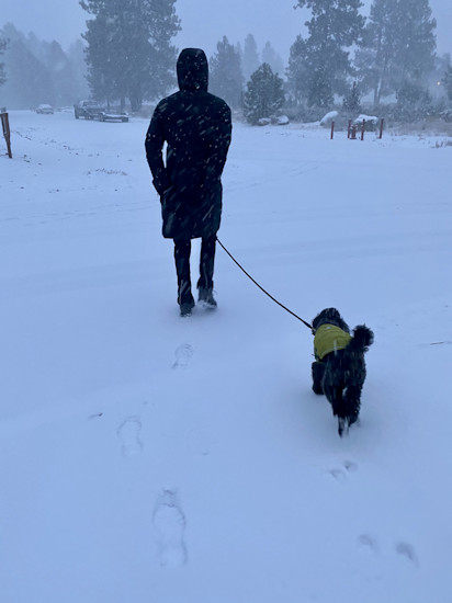 Dog walking Sisters snow Richard Sandness 1126