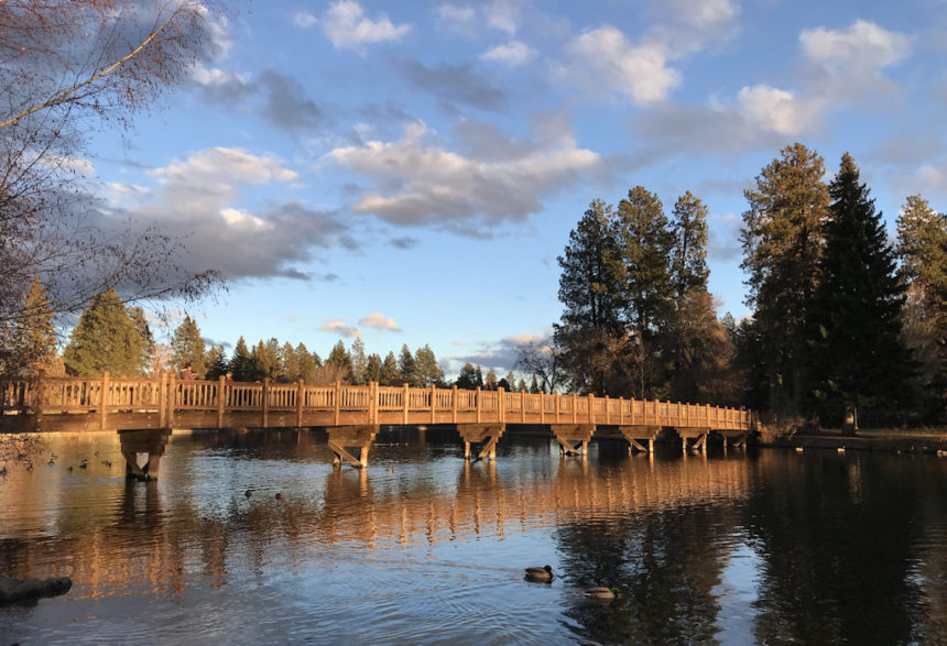 Drake Park footbridge Jen Layton 1223