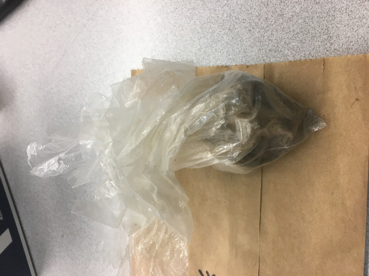 Redmond drug bust heroin