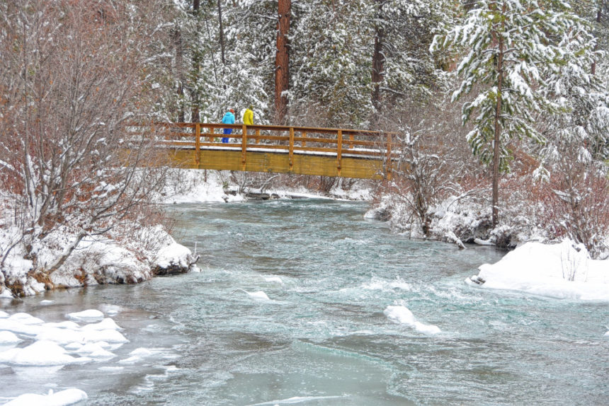 Shevlin Park Mark winter wonderland Jandera 1130