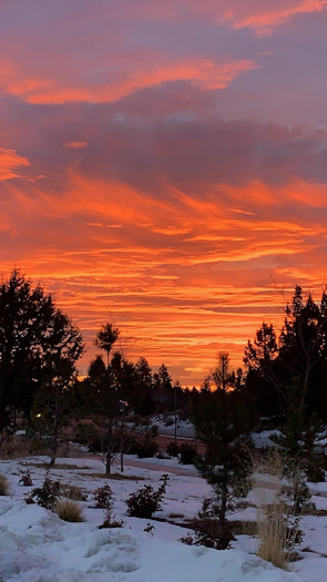 Sunrise Brian Diggers 1206