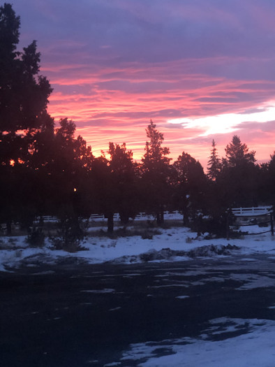 Sunrise Emma Dooley 1206