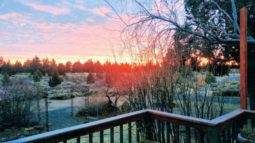 Sunrise Eric Brown 1228