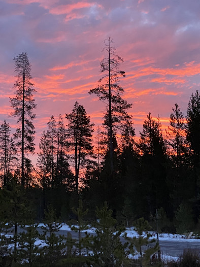 Sunrise La Pine Brandie Wolfe 1206