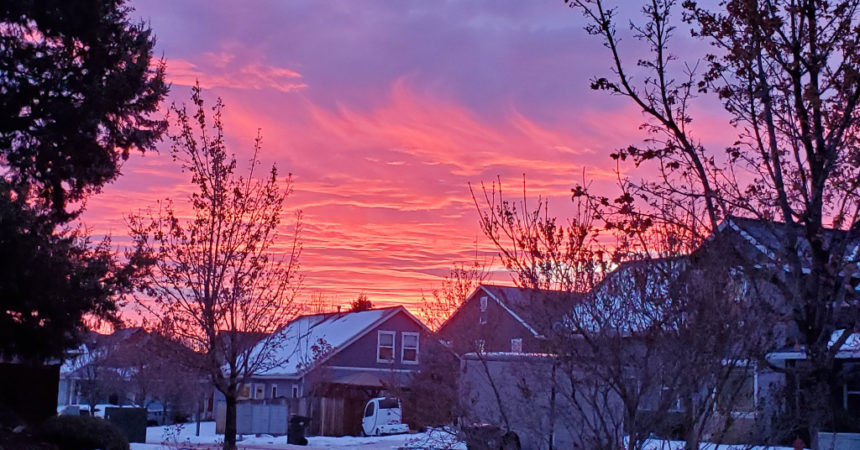 Sunrise Marcia Covert1206