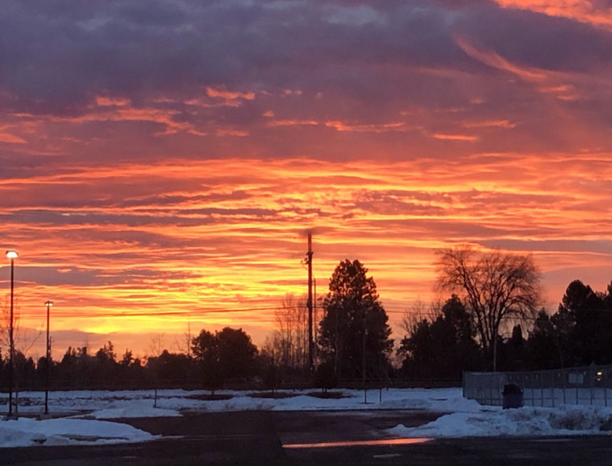 Sunrise Shelley Marks