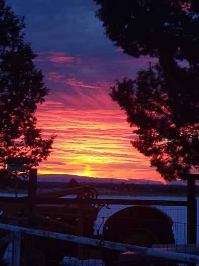 Tumalo farm sunrise Barbara Breyer 1206