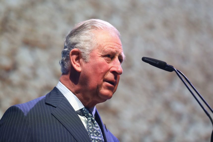 The Prince Of Wales Attends WaterAid's Water And Climate Event