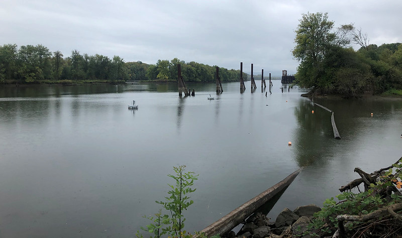 OSU Superfund site creosote