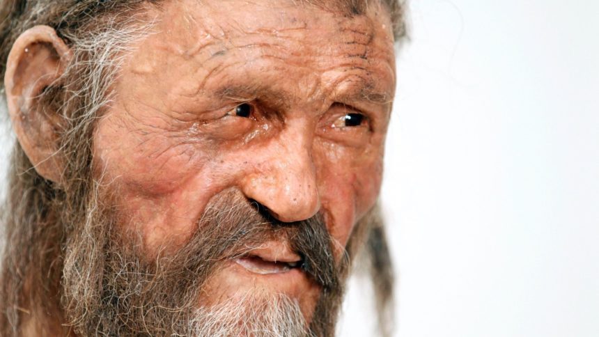 Otzi the Iceman