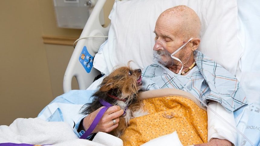 Vietnam veteran with dog