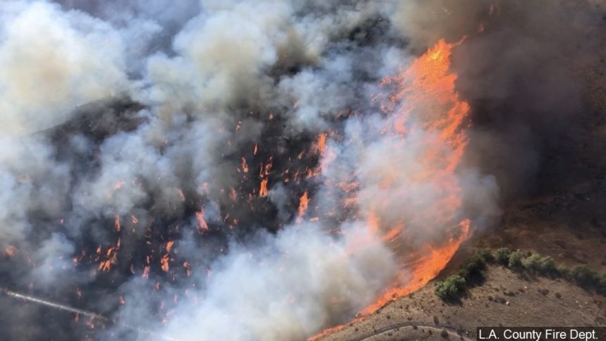 wildfire