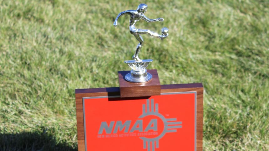 lady-hawks trophy