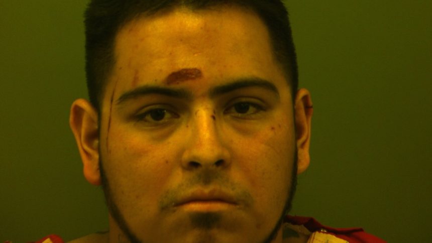 Castaneda-intox-manslaughter