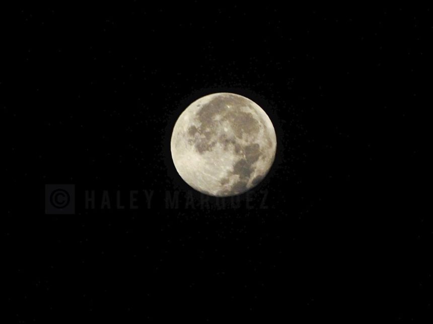 Last Moon of The Decade 121319