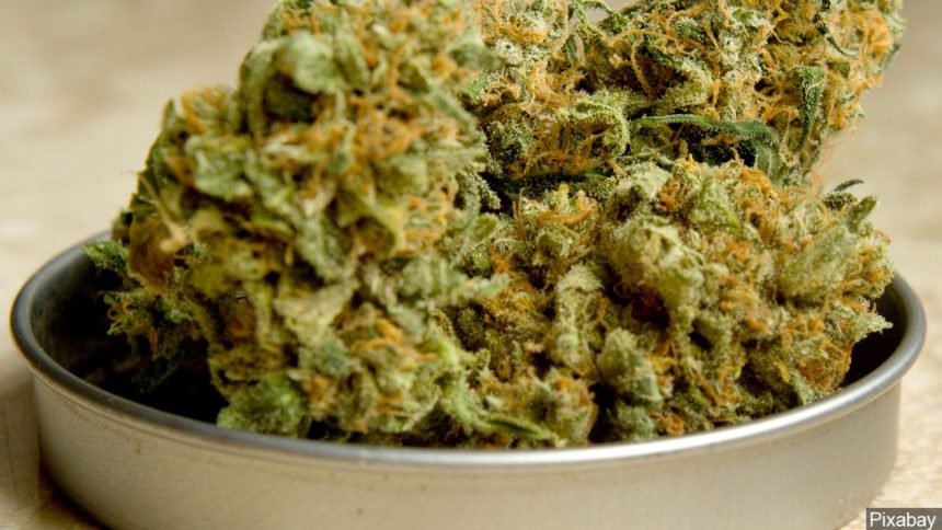 122319 cannabis