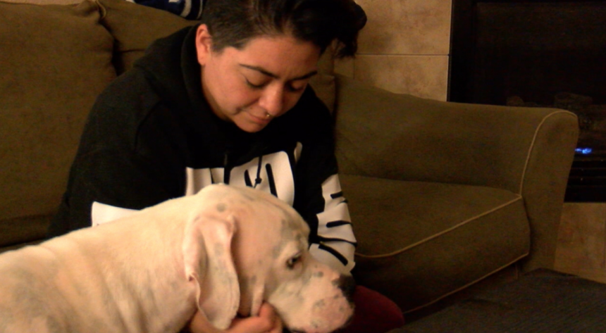 vet's Home burglarized