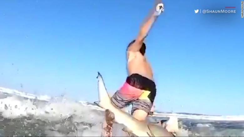 shark-sideswipes-boy-on-surfboard