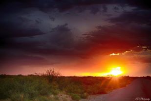 Eddie Corral NM Sunrise