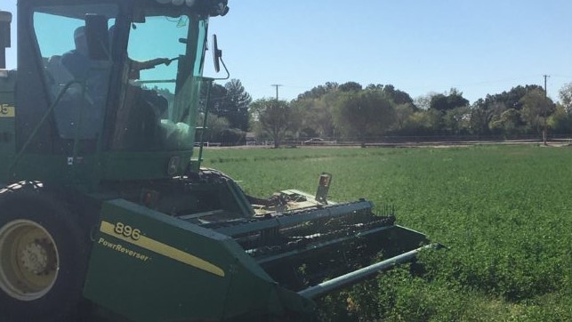 students harvest alfalfa on farm