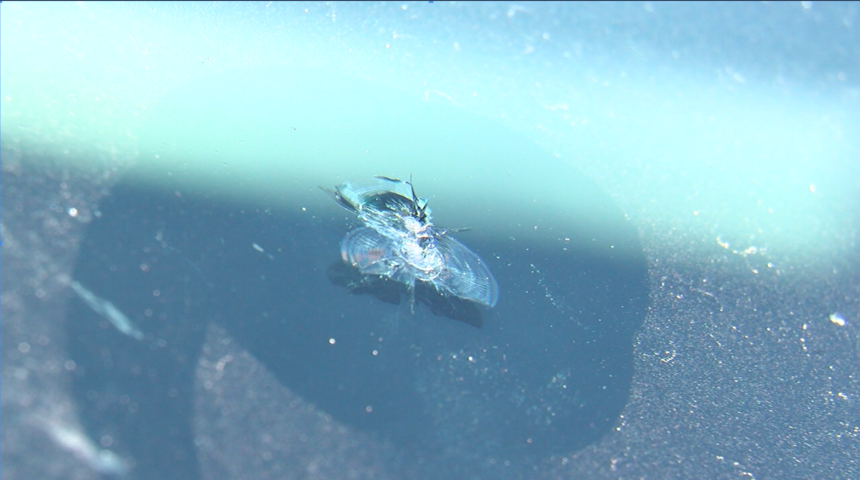 cracked windshield