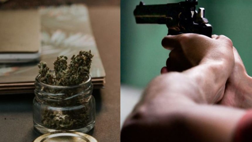 marijuana-gun
