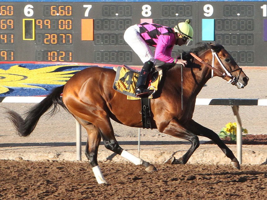 Horse owners push for lifting live racing ban at Sunland Park, Ruidoso