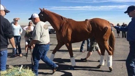 Sunland-Derby