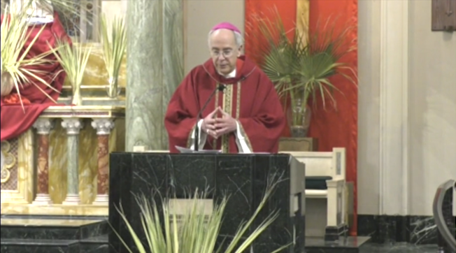 bishop seitz