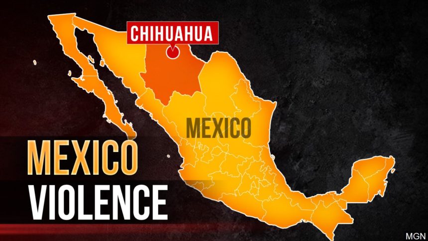 chihuahua violence