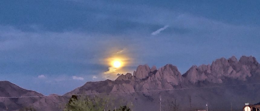 ichard Portillo Pink Moon