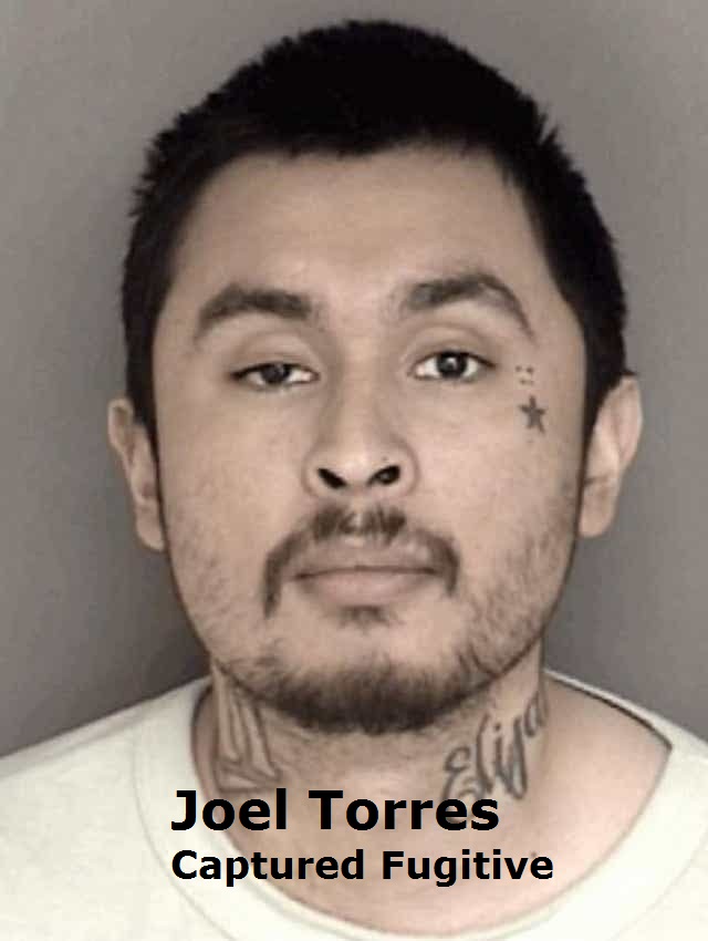 Joel Torres