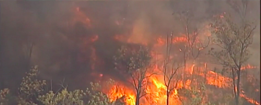 Screen Shot 2019-12-05 at 7.33.43 PM