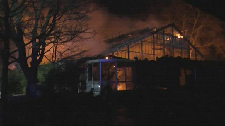 German Zoo Fire
