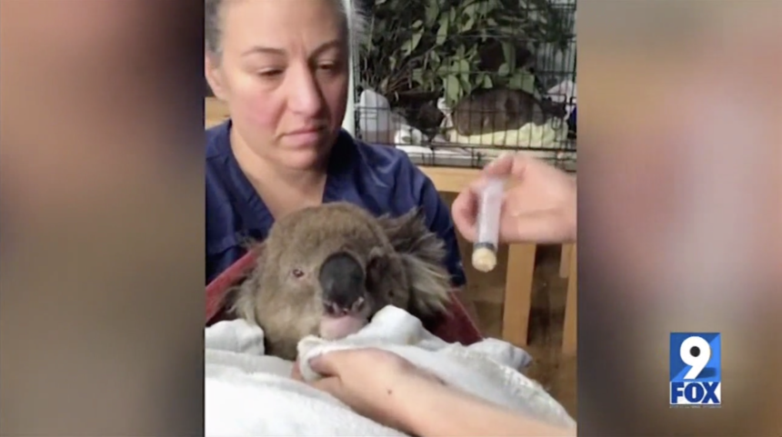 Screen Shot 2020-01-08 at 9.48.36 PM