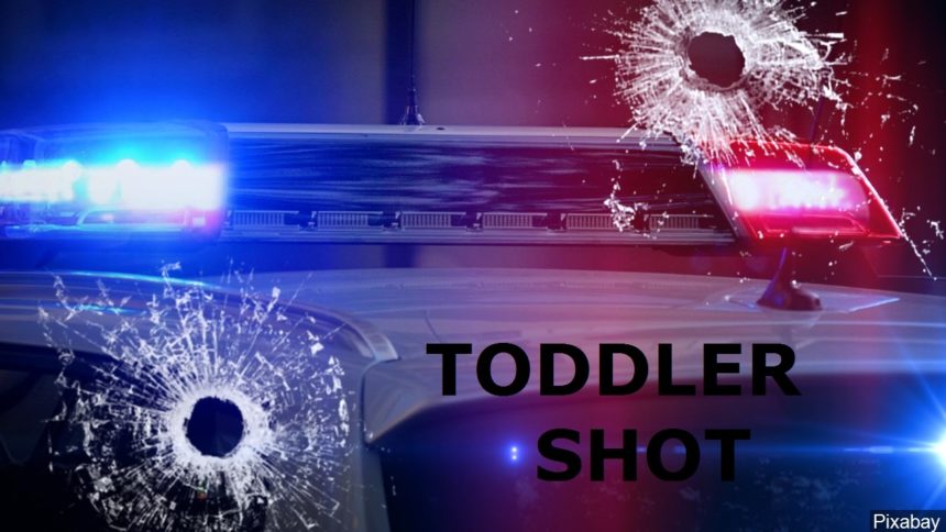 TODDLER SHOT GFX