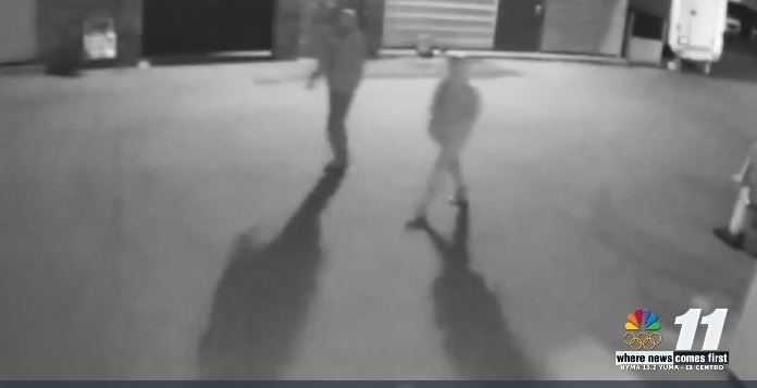 thieves on camera