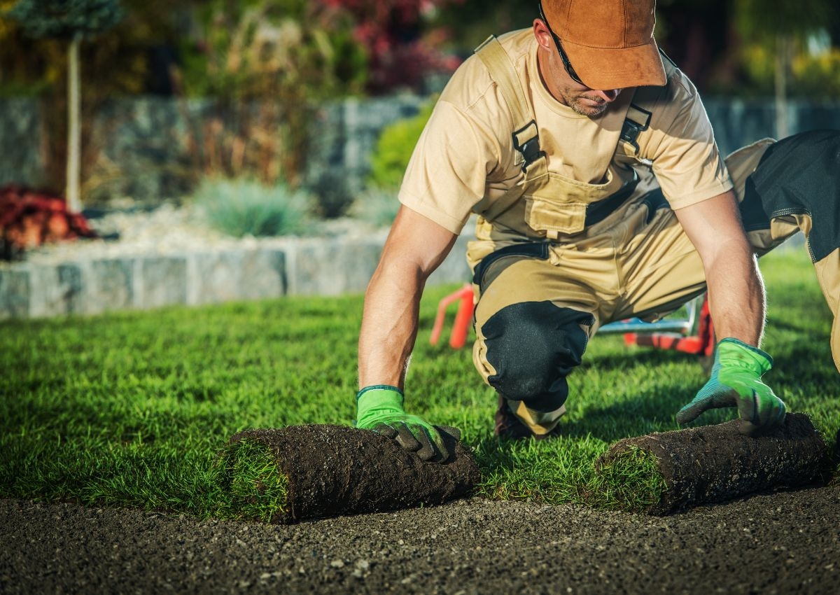 Transform Your Outdoor Space with Blossom and Oak Landscaping