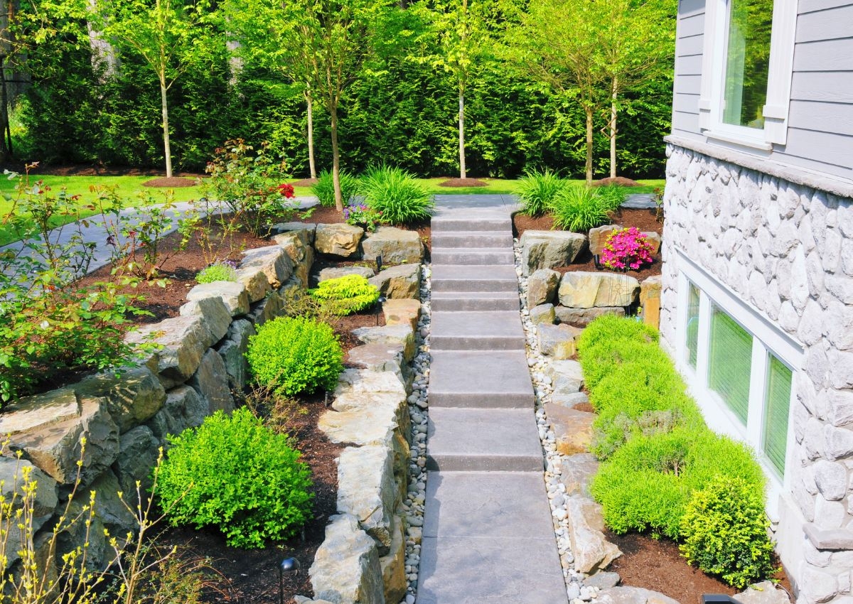 What makes Blossom and Oak the best landscaping company in San Tan Valley?
