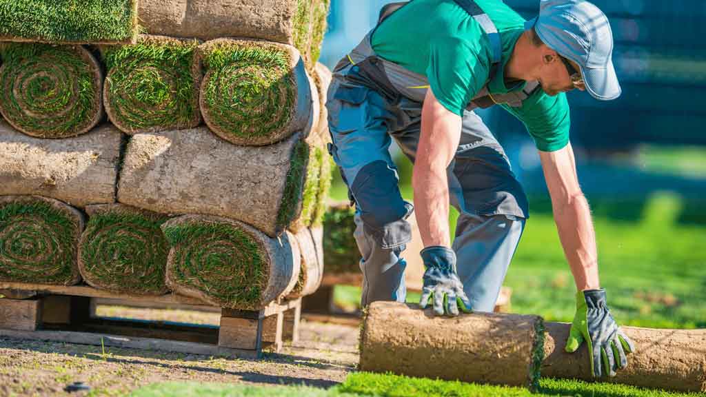 best landscaping services near me