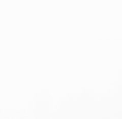 Blanco Icon