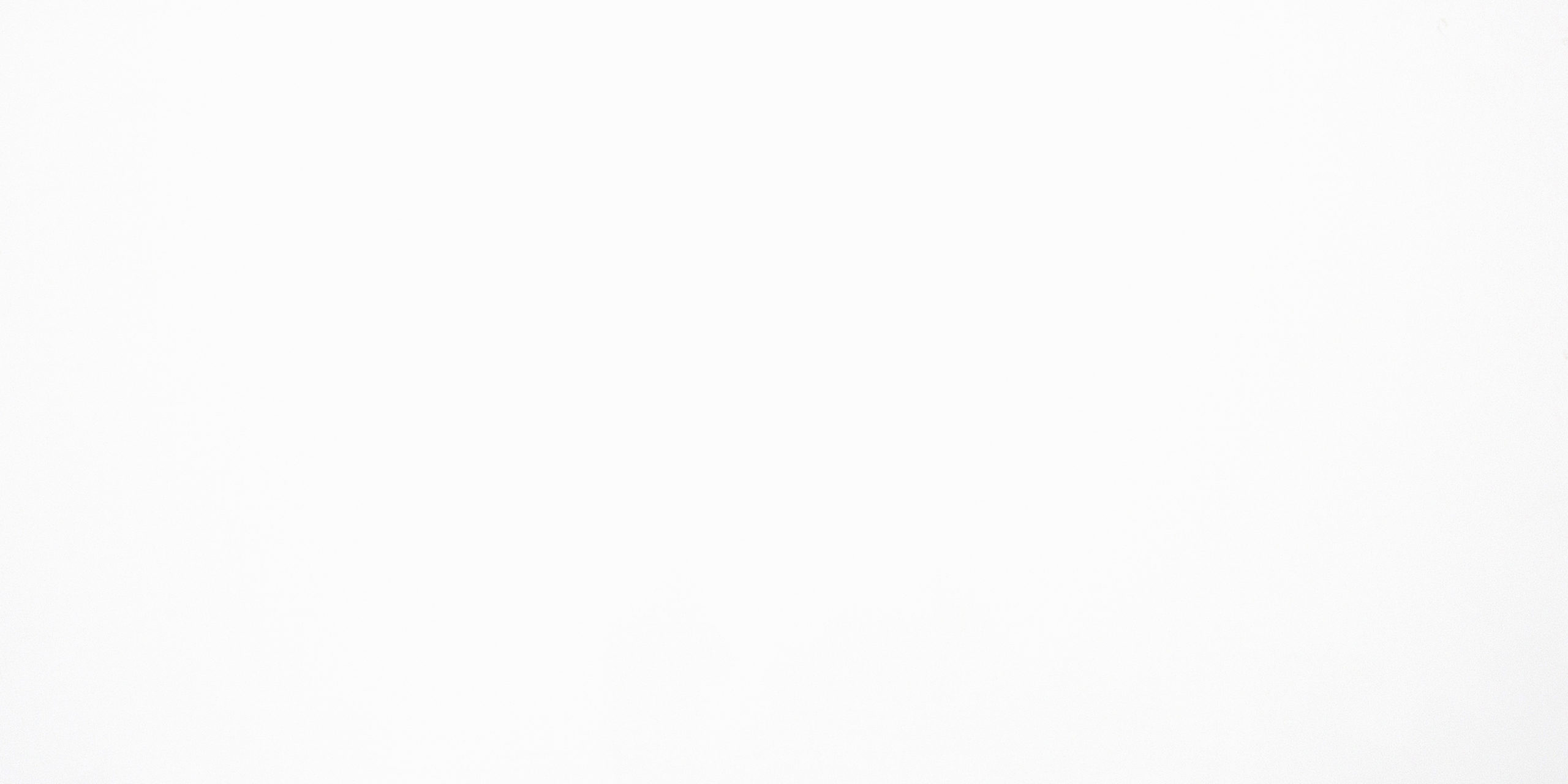 Blanco Icon