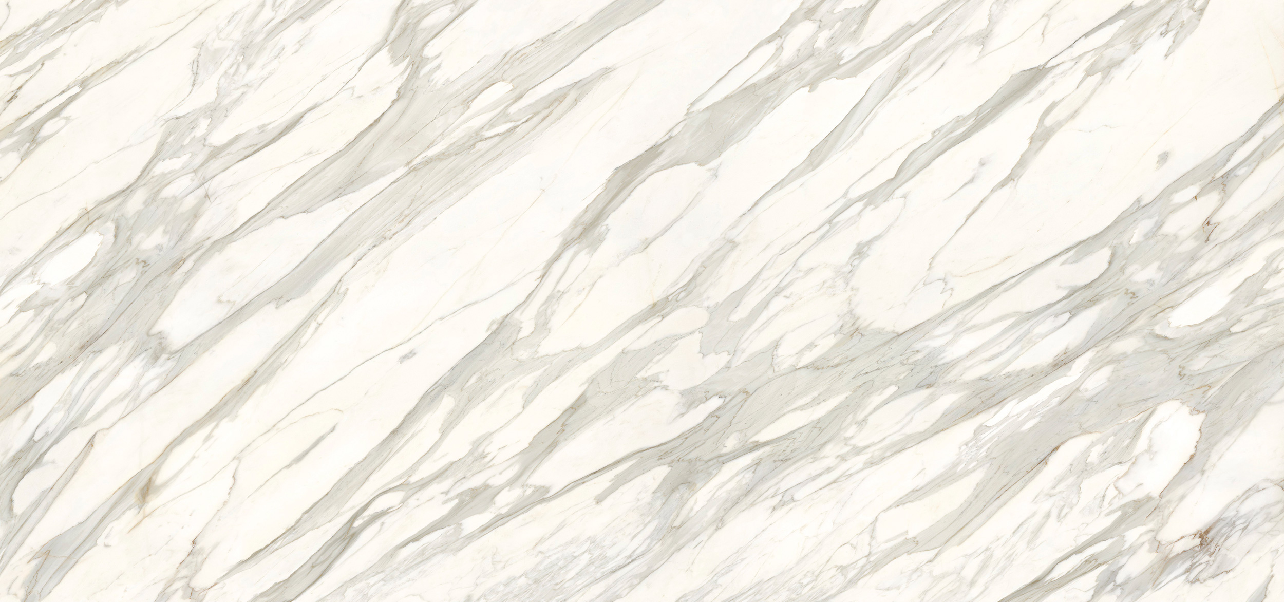 Calacatta Gold CG-01R