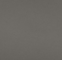 Gris Topo